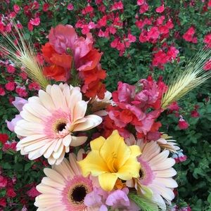 Meet your Posher, Kerri